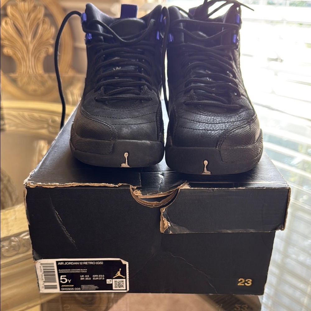Jordan Retro 12 Black&Purple Sneakers